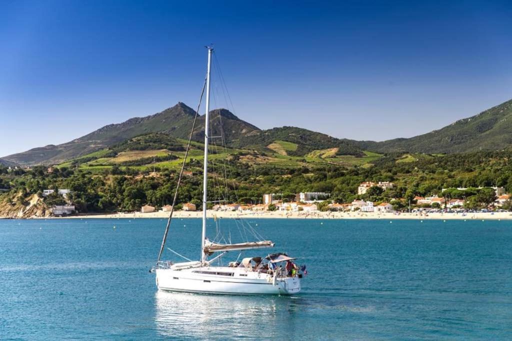 "Les Bambous" Studio Cosy Climatise Au Calme De 37 M2 Parking Gratuit A Argeles Sur Mer المظهر الخارجي الصورة